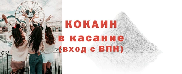 сатива Елабуга