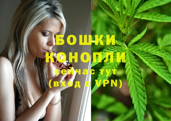 амф Елизово