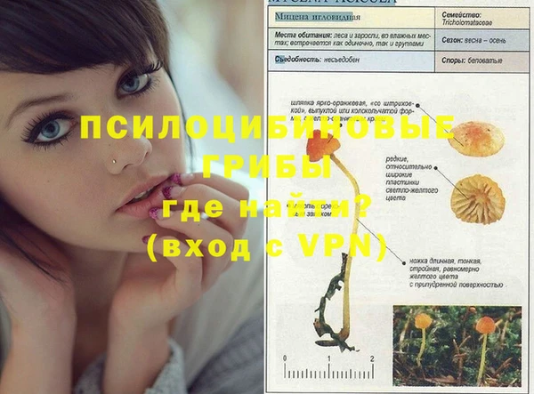 мдпв Дмитров